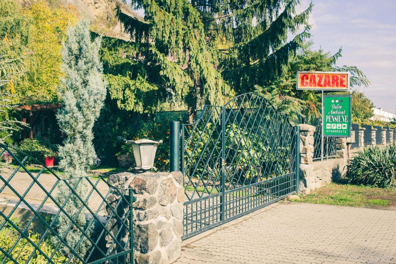 Pensiunea Dulce Ambient Paulis Екстериор снимка